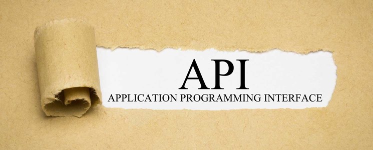 Delivery Software Integration with the OnTime API and SDK